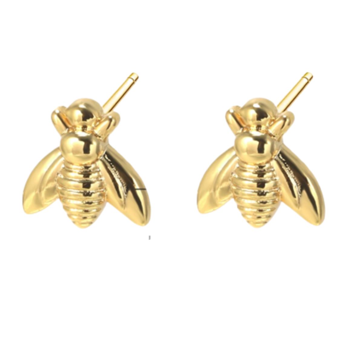 Broquel Mosquita